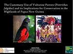 Study on the use of Pesquet parrots' feathers for traditional adornment underway