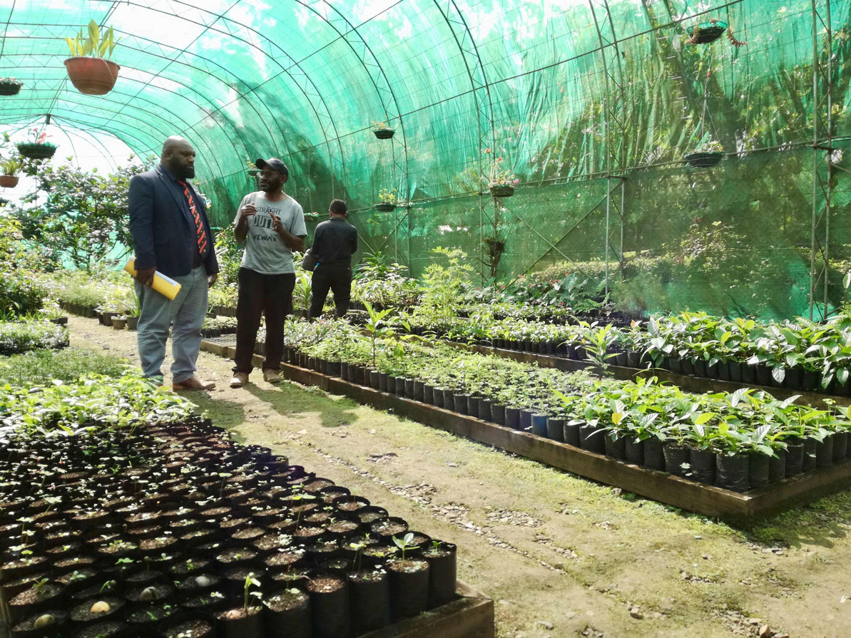 Launching of 10 million trees planting program > WCS Papua New Guinea